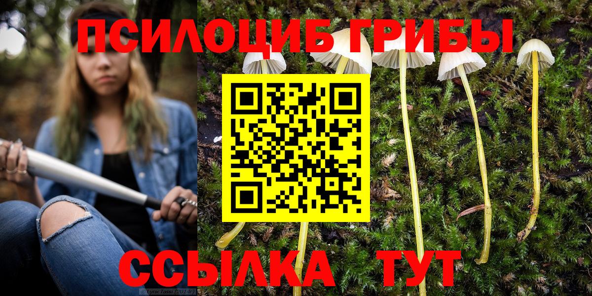 Псилоцибиновые грибы GOLDEN TEACHER Люберцы